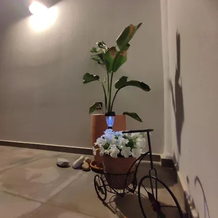 Sifnaiou Traditional 1 & 3 * Paro